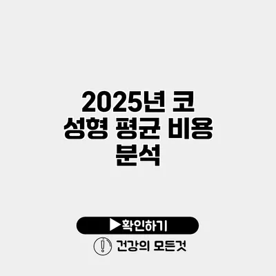 2025년 코 성형 평균 비용 분석