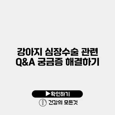 강아지 심장수술 관련 Q&A 궁금증 해결하기