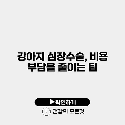 강아지 심장수술, 비용 부담을 줄이는 팁