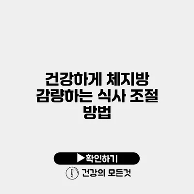 건강하게 체지방 감량하는 식사 조절 방법
