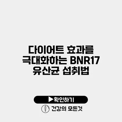 다이어트 효과를 극대화하는 BNR17 유산균 섭취법