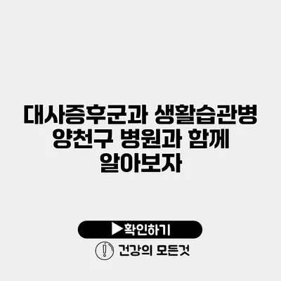 대사증후군과 생활습관병 양천구 병원과 함께 알아보자