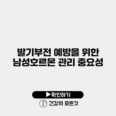 발기부전 예방을 위한 남성호르몬 관리 중요성