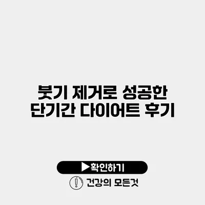 붓기 제거로 성공한 단기간 다이어트 후기