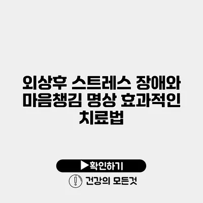 외상후 스트레스 장애와 마음챙김 명상 효과적인 치료법