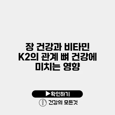 장 건강과 비타민 K2의 관계 뼈 건강에 미치는 영향