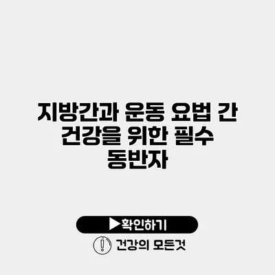지방간과 운동 요법 간 건강을 위한 필수 동반자