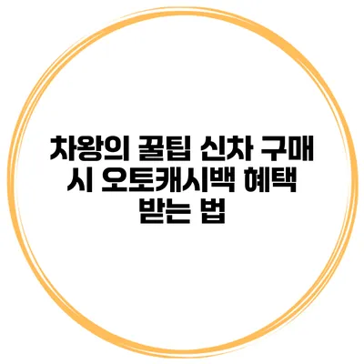 차왕의 꿀팁 신차 구매 시 오토캐시백 혜택 받는 법