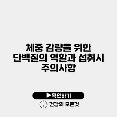 체중 감량을 위한 단백질의 역할과 섭취시 주의사항