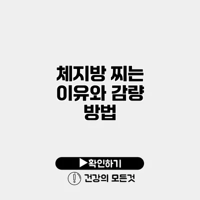체지방 찌는 이유와 감량 방법