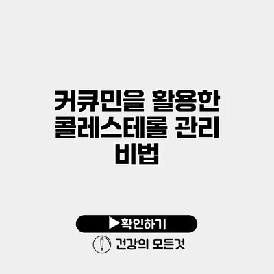 커큐민을 활용한 콜레스테롤 관리 비법