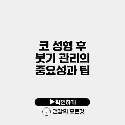 코 성형 후 붓기 관리의 중요성과 팁