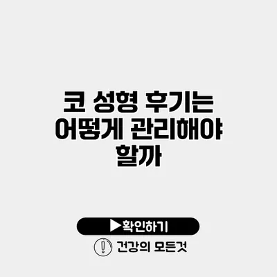 코 성형 후기는 어떻게 관리해야 할까?