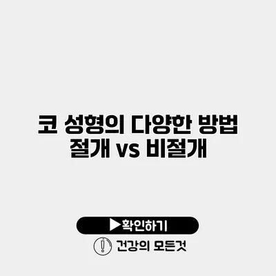 코 성형의 다양한 방법 절개 vs 비절개