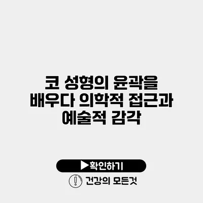 코 성형의 윤곽을 배우다 의학적 접근과 예술적 감각
