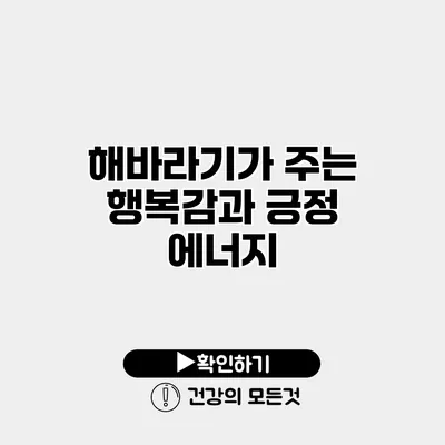 해바라기가 주는 행복감과 긍정 에너지