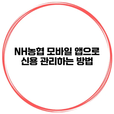 NH농협 모바일 앱으로 신용 관리하는 방법