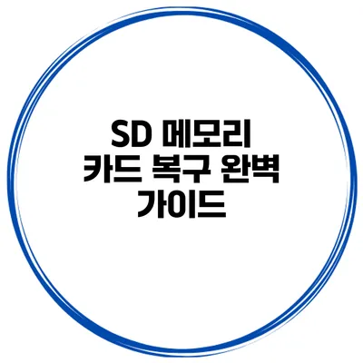 SD 메모리 카드 복구 완벽 가이드