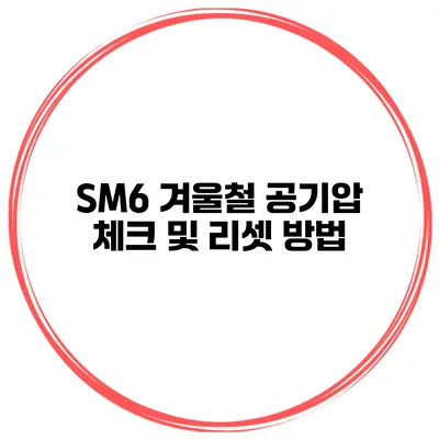 SM6 겨울철 공기압 체크 및 리셋 방법