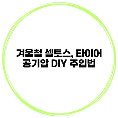 겨울철 셀토스, 타이어 공기압 DIY 주입법