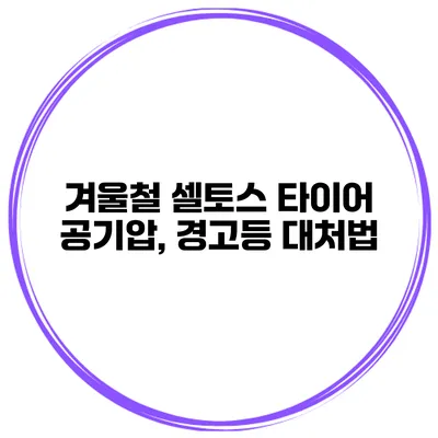 겨울철 셀토스 타이어 공기압, 경고등 대처법