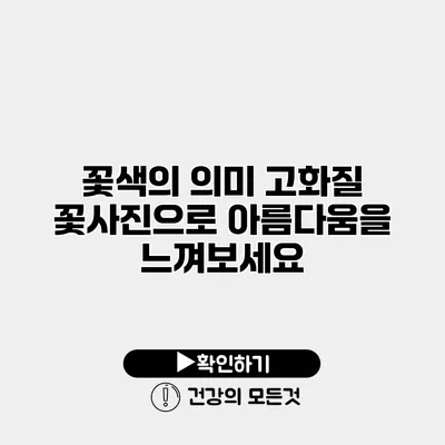 꽃색의 의미 고화질 꽃사진으로 아름다움을 느껴보세요