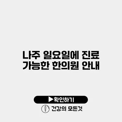나주 일요일에 진료 가능한 한의원 안내