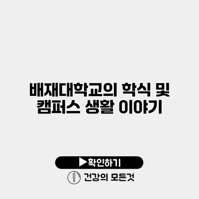 배재대학교의 학식 및 캠퍼스 생활 이야기