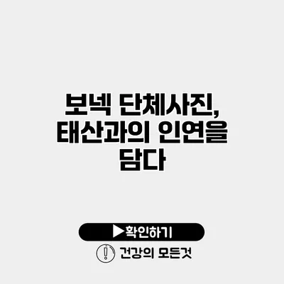 보넥 단체사진, 태산과의 인연을 담다