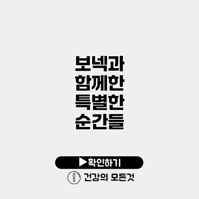 보넥과 함께한 특별한 순간들