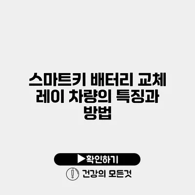 스마트키 배터리 교체 레이 차량의 특징과 방법