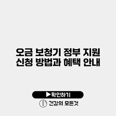 오금 보청기 정부 지원 신청 방법과 혜택 안내