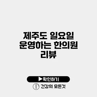 제주도 일요일 운영하는 한의원 리뷰