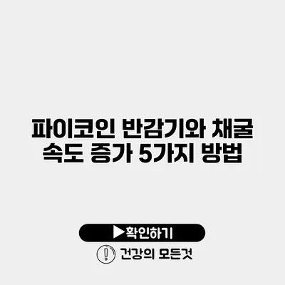 파이코인 반감기와 채굴 속도 증가 5가지 방법