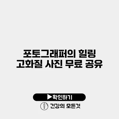 포토그래퍼의 힐링 고화질 사진 무료 공유