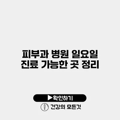 피부과 병원 일요일 진료 가능한 곳 정리