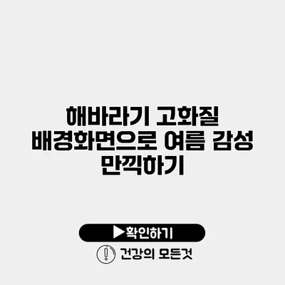 해바라기 고화질 배경화면으로 여름 감성 만끽하기