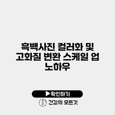 흑백사진 컬러화 및 고화질 변환 스케일 업 노하우